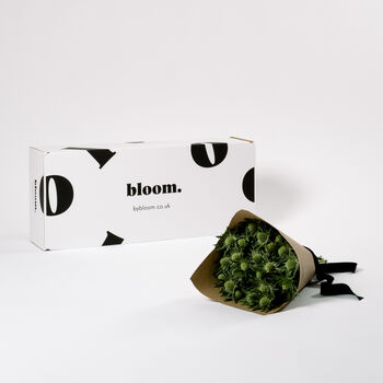 Green Star Thistle Fresh Flower Bouquet, 2 of 2