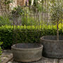 Margaux Domed Planter Collection, thumbnail 3 of 3