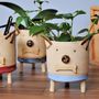 Dog Personalised Ceramic Tripot Plant Pot, thumbnail 1 of 6