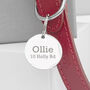 Personalised Leather Dog Collar With Tag, thumbnail 4 of 4