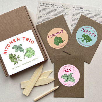 The Kitchen Herb Trio Gardening Gift Seed Box, 3 of 3