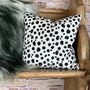 Dalmatian Print Velvet Cushions, thumbnail 5 of 12