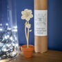 Wooden Christmas Rose With Personalised Terracotta Pot, thumbnail 4 of 8