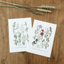 Set Of Two Wildflower And Meadow Grass Charts Prints, thumbnail 1 of 3