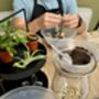 Carnivorous Plant Terrarium Workshop, Manchester, thumbnail 9 of 12