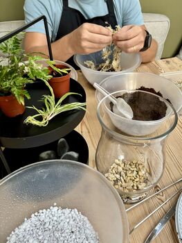 Carnivorous Plant Terrarium Workshop, Manchester, 9 of 12