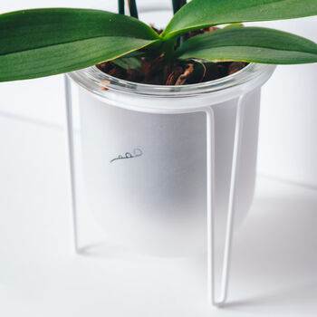 Orla, Glass Planter With Stand, Ideal For Orchids, 5 of 10