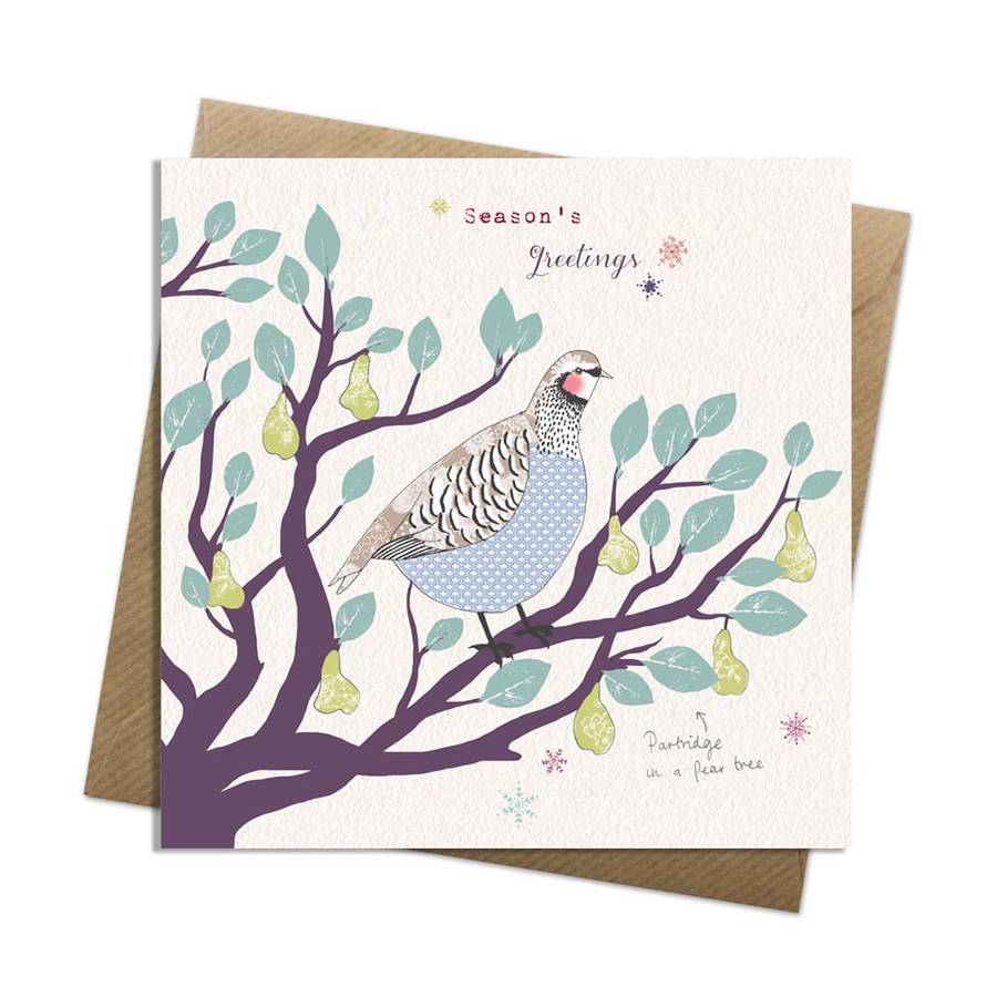 Partridge In A Pear Tree By Ashley Thomas | notonthehighstreet.com