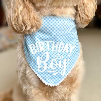 Gingham Birthday Dog Bandana, 3 of 8