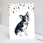 Boston Terrier Birthday Card, thumbnail 1 of 3