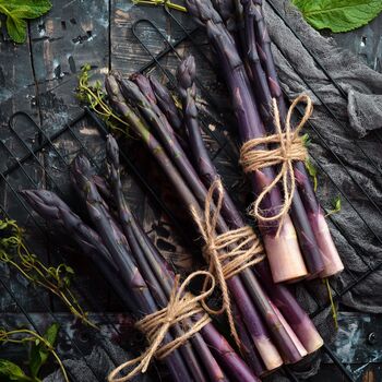 Asparagus Plants 'Burgundine' One X Two Litre Pot, 3 of 5