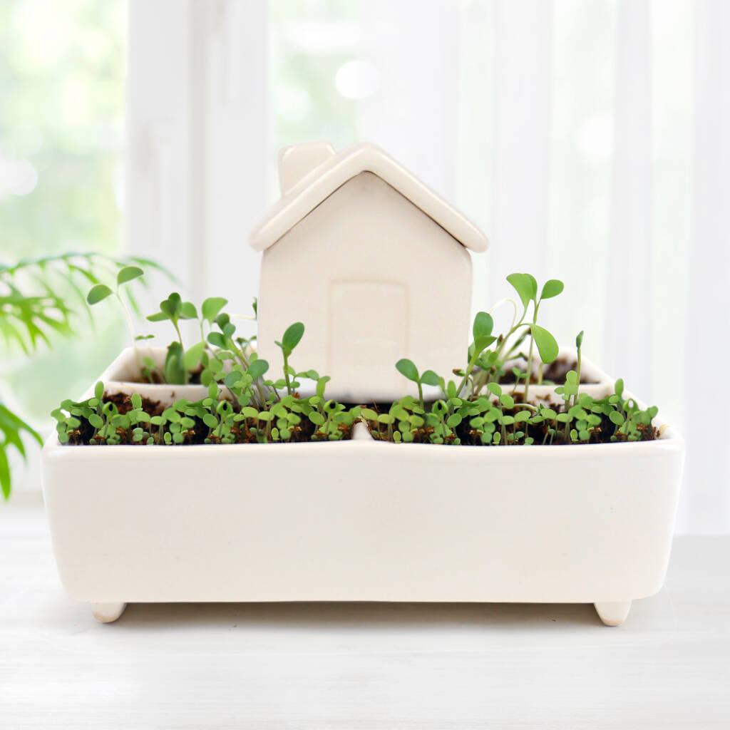 Self Watering House With Herb Garden And Seeds, 1 of 5