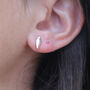 Fawn 9 Ct Rose Gold Marquise Scalloped Earrings, thumbnail 2 of 4
