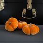 Miniature Halloween Pumpkin Decoration, thumbnail 4 of 6