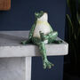 Frog Shelf Sitter, thumbnail 1 of 4