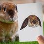 Personalised Rabbit Lover Portrait Face Print, thumbnail 2 of 11