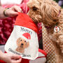 Personalised Dog Christmas Gift Bag, thumbnail 1 of 10