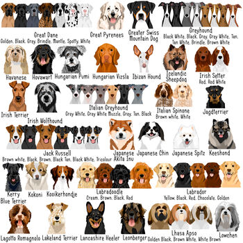 Dog Breed ID Tag Personalised Realistic Illustrations, 6 of 12