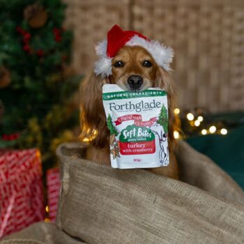 The Dog's Christmas Treat Box, 8 of 8