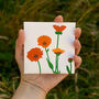 Welsh Pot Marigold Illustrated Card With Seeds, thumbnail 7 of 8