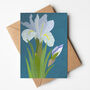 Katharine Hodgkin Iris Illustrated Greeting Card, Sustainable, Printed In England, Floral, Blue, Textured Card, All Occasion For Garden Lover, thumbnail 1 of 2