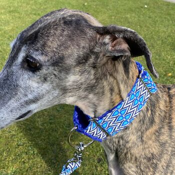 Martingale Collar In Royal Blue Print, 6 of 10