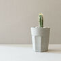 Concrete Planter Cactus Kit, thumbnail 10 of 12