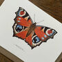 Illustrated Peacock Butterfly Card Blank Inside, thumbnail 2 of 6