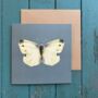 Cabbage White Illustrated Butterfly Card, thumbnail 1 of 2