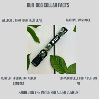 Camouflage Dog Collar And Lead, 5 of 6