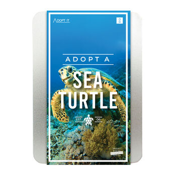 Adopt A Sea Turtle, 2 of 2