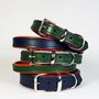 Padded Leather Dog Collar, thumbnail 5 of 9