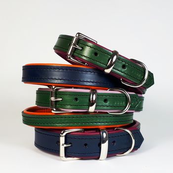 Padded Leather Dog Collar, 3 of 9