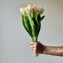Artificial Light Pink Tulip Stem, thumbnail 3 of 5
