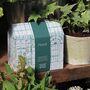 Greenhouse Candle Gift Set, thumbnail 1 of 7