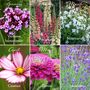 Grow Your Own Flower Garden Wall Seed Calendar 2025, thumbnail 7 of 8