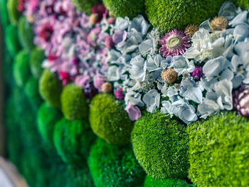 Moss Wall Art With Preserved Flowers, Floral Artwork, 10 of 12