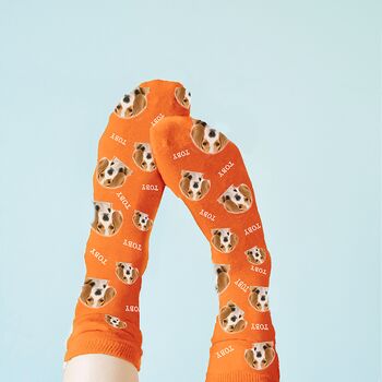Personalised Pet Photo Socks, 6 of 12