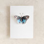 Blue Watercolour Butterfly Pop Out Card, thumbnail 2 of 3