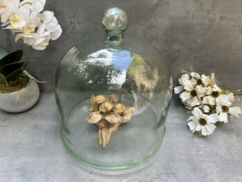 Huge 30cm Recycled Glass Cloche Dome Bell Jar, 2 of 8