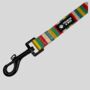 Multi Coloured Stripe Dog Collar And Lead, thumbnail 7 of 8