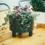 Wide Turquoise Or Mustard Plant Pot With Feet, thumbnail 2 of 4