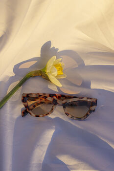 Modern Tortoise Shell Triangular Cut Block Sunglasses, 5 of 7