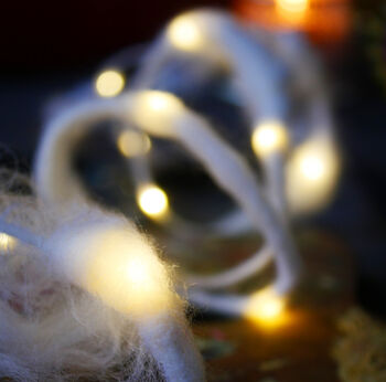 Cobweb Fairy Light String, 8 of 9