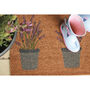 Printed Coir Doormat Lavender, thumbnail 2 of 3