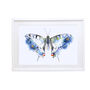 Swallowtail Butterfly Wildlife Botanical Art Print, thumbnail 3 of 4