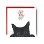 Cute Kitten Mistletoe Christmas Card, thumbnail 1 of 4