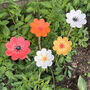 Ceramic Flower Cane Toppers And Bee Bath, thumbnail 4 of 11