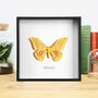 African Golden Emperor Handcrafted Frame, thumbnail 1 of 3