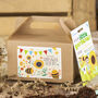 Sunflower Seed Kit, Grow Your Own, Kids Party Bag, thumbnail 3 of 3
